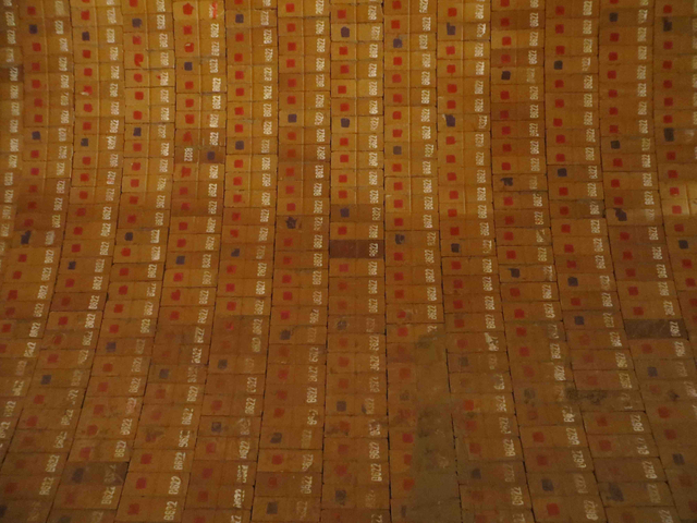 Installazione di mattoni di allumina spinale Mag